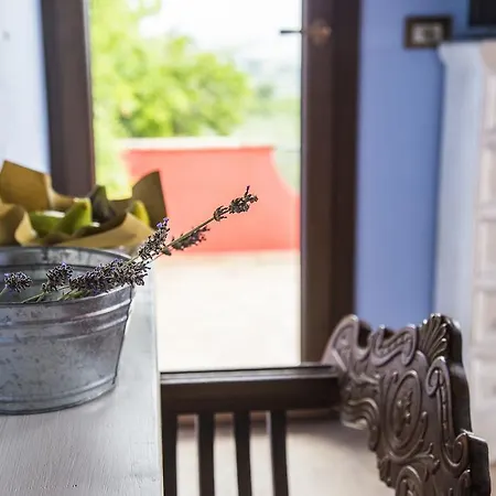 Corte Decia 4* Saludecio